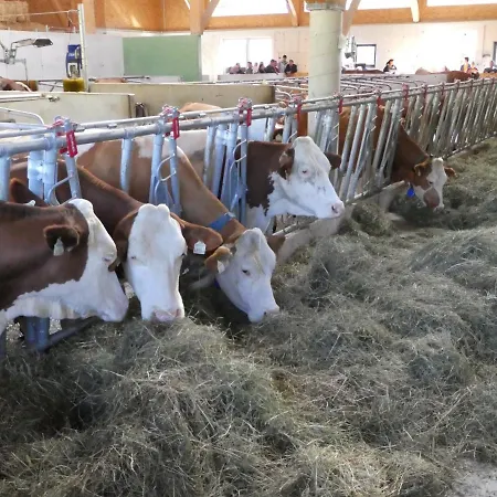 Bauernhof Kodahof - Familie Rabl