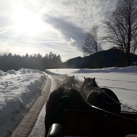 Bauernhof Kodahof - Familie Rabl شقة